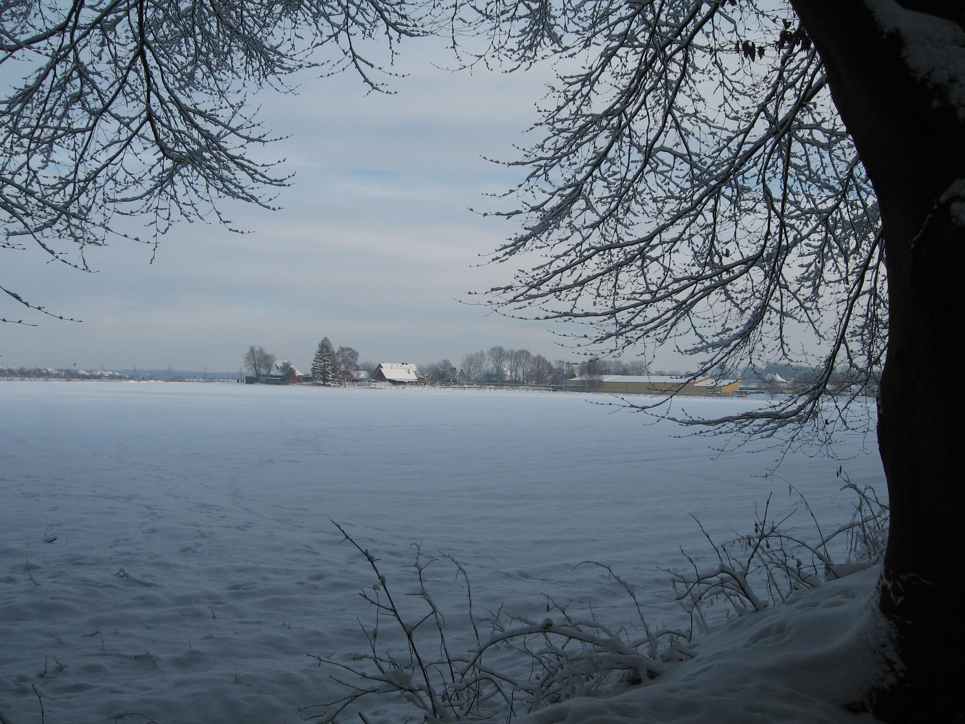 Snowy farmland