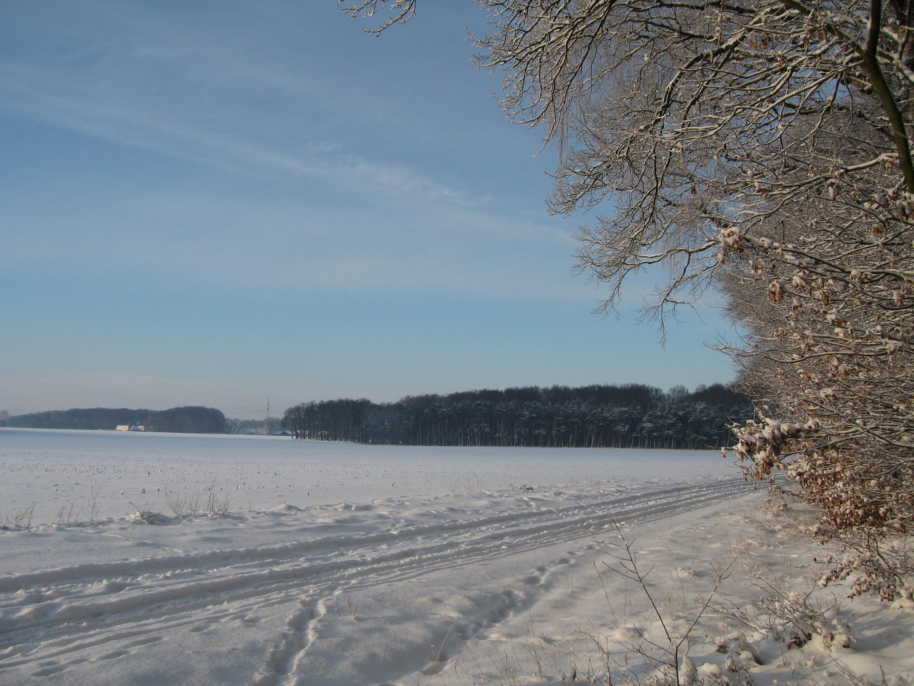 Snowy farmland