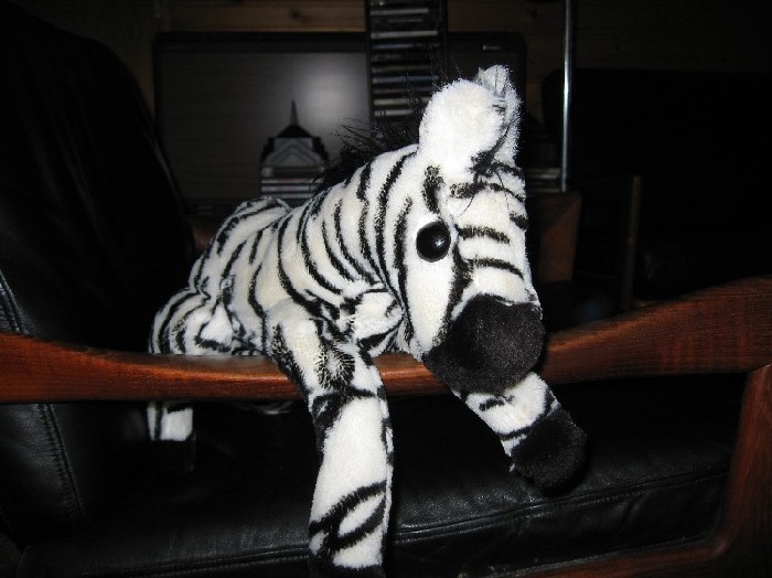 Zebra