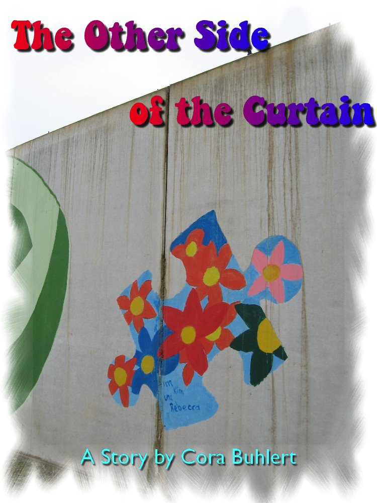 The Other Side of the Curtain