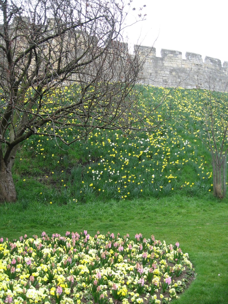 York city wall