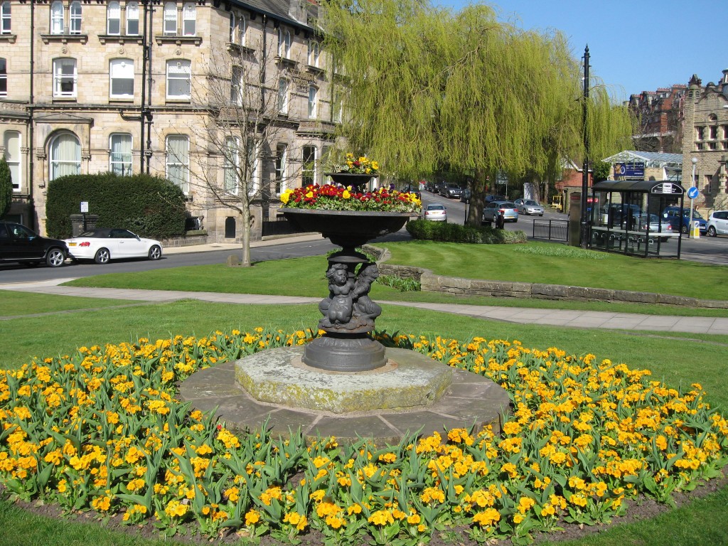 Harrogate flowers
