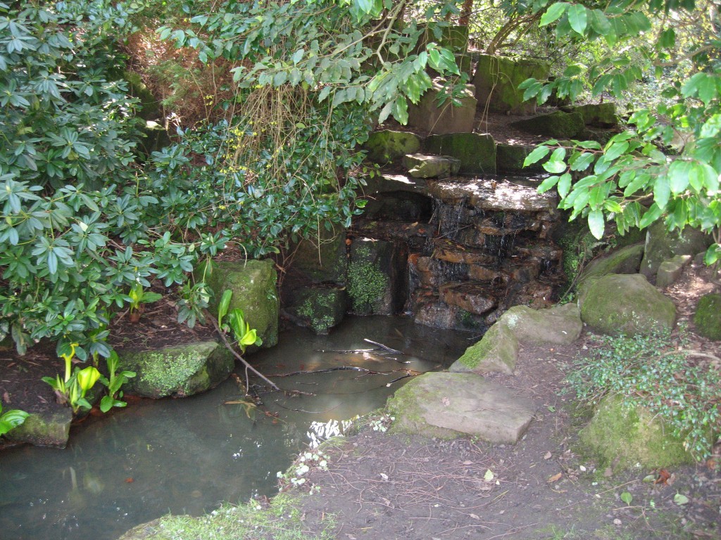 Brook at Valley Gardens, Harrogate