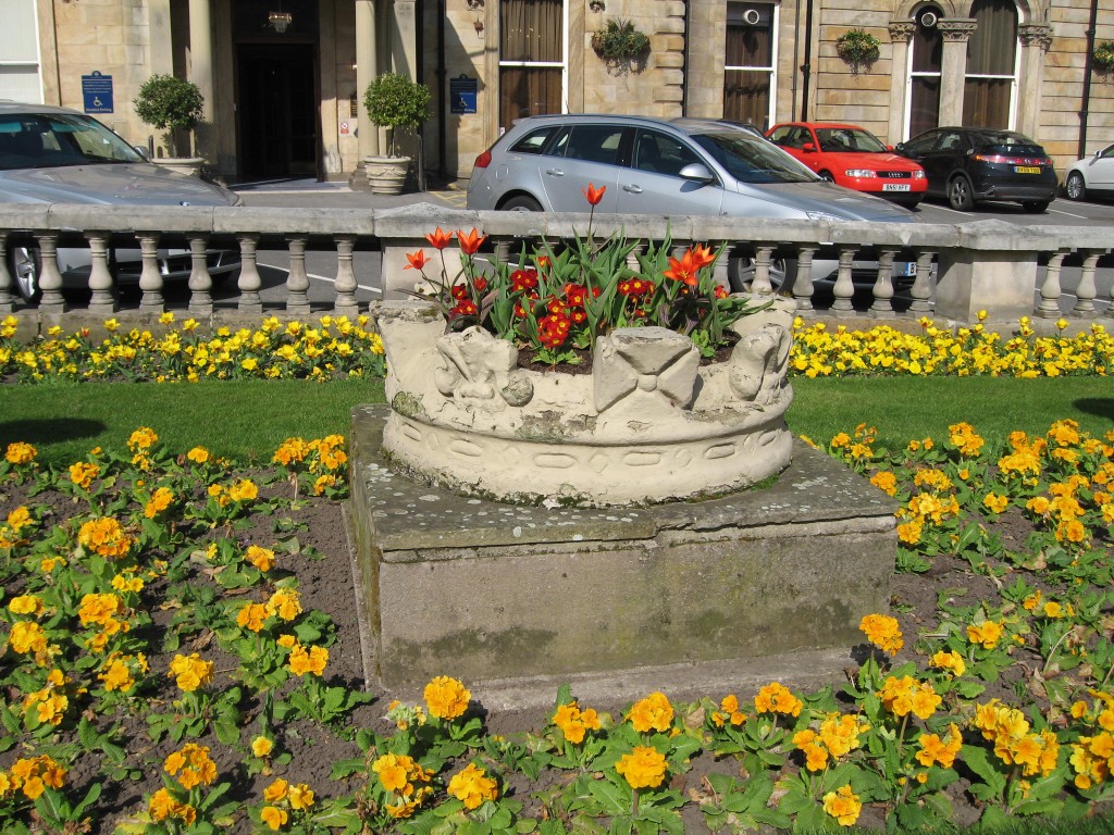 Harrogate flowers