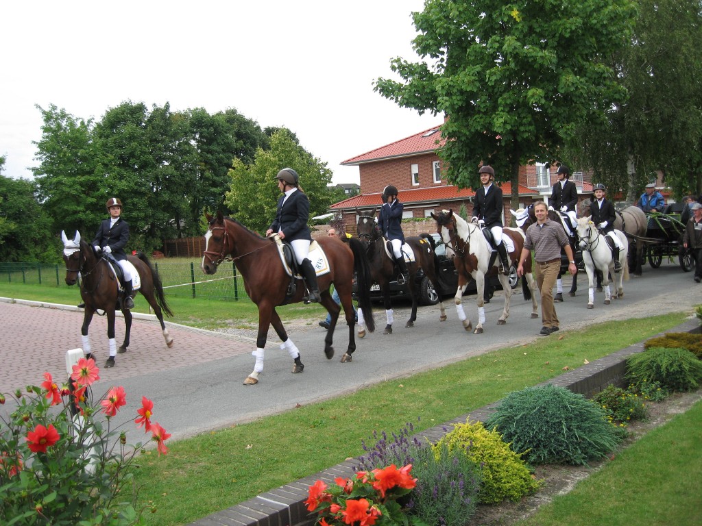 Harvest parade horses