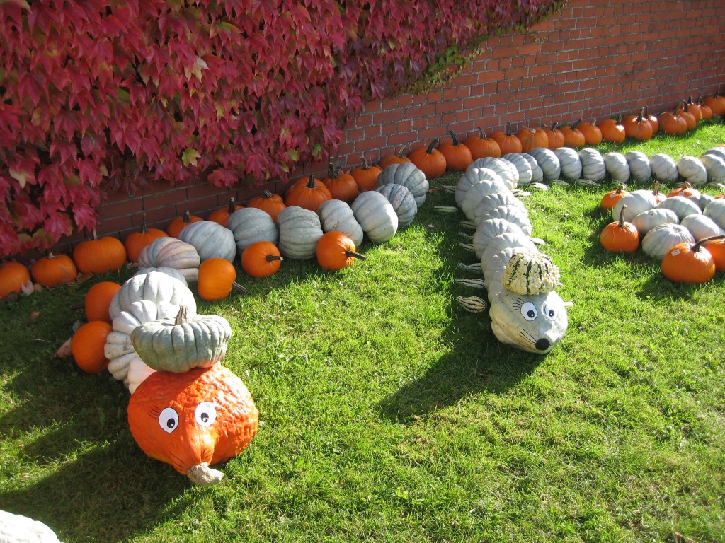 Pumpkin snakes