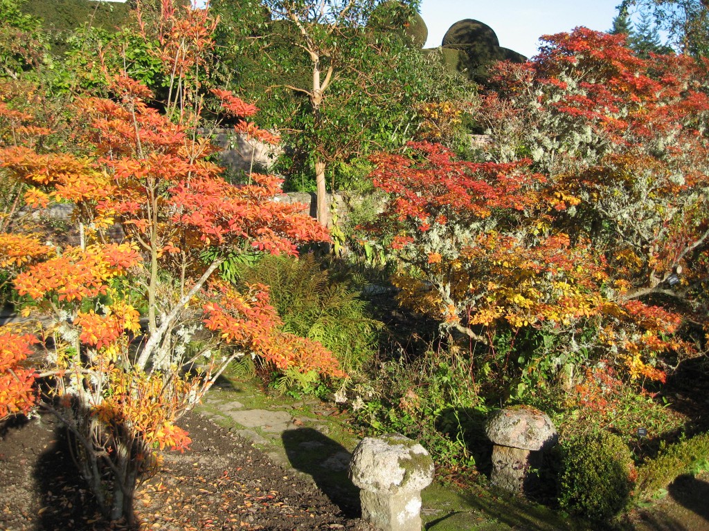 Crathes Castle garden