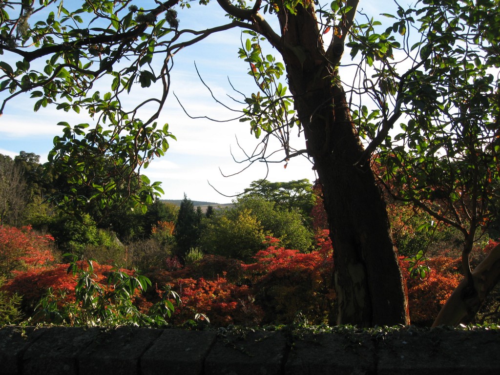 Crathes Castle garden