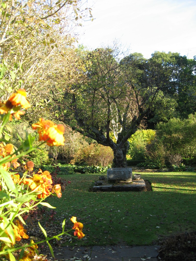 Crathes Castle garden