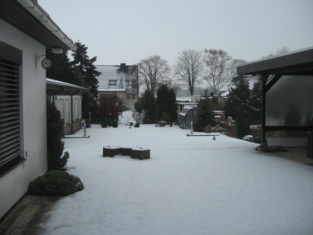 Snowy garden