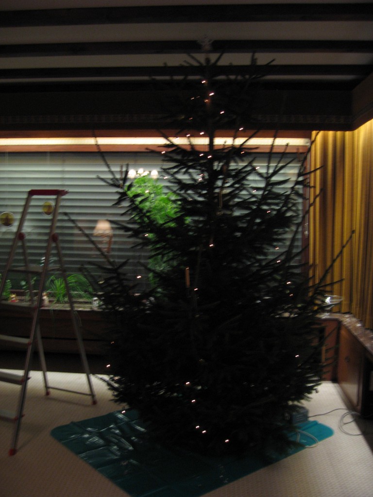 Bare tree