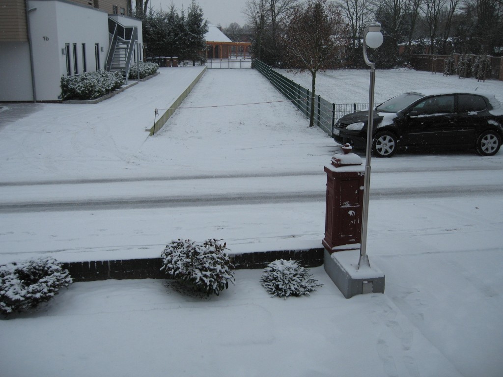 Snowy front yard