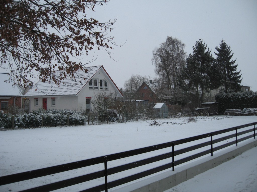 The meadow next door and some neighbour houses all covered in snow. 