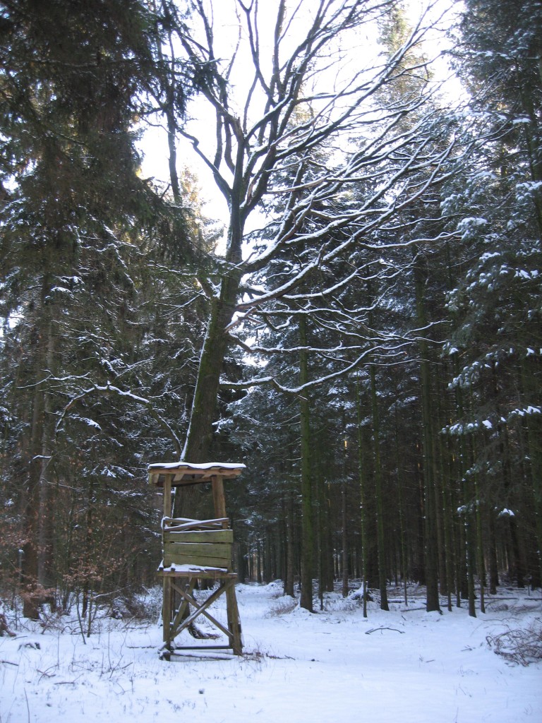 Snowy hunting stand