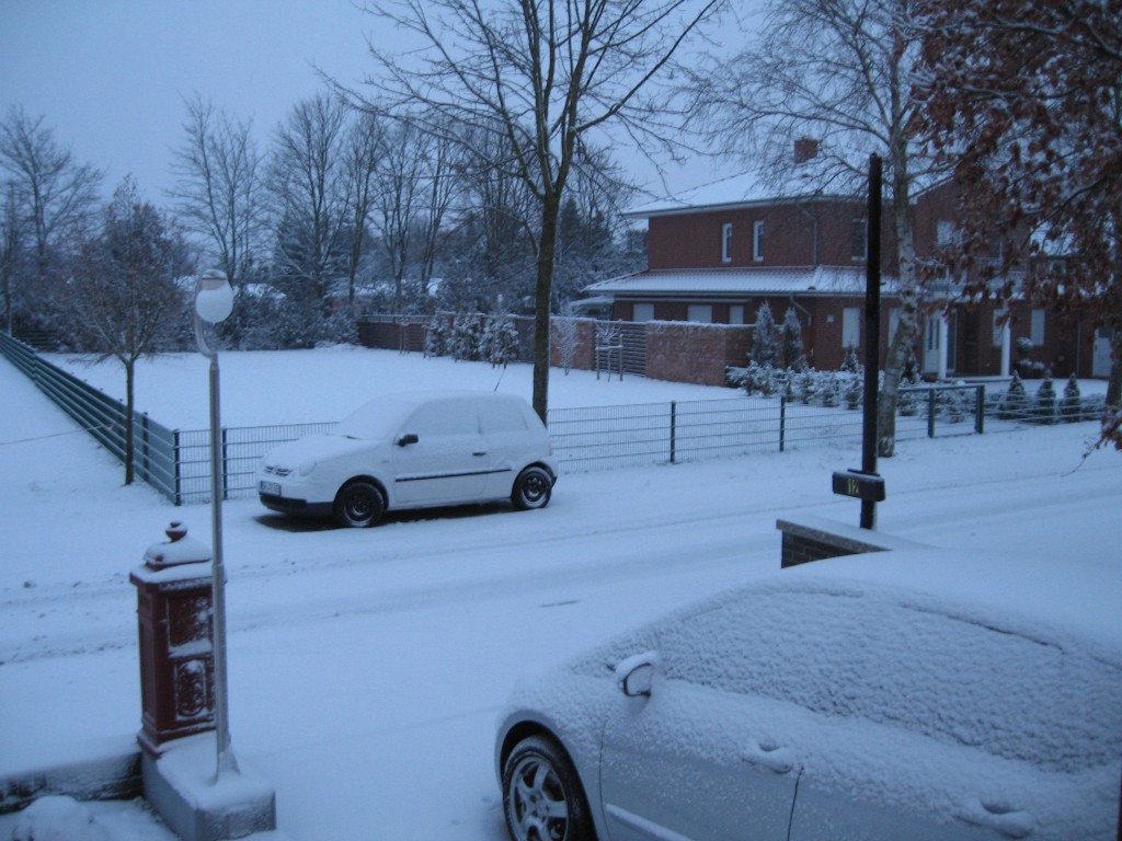 Snowy driveway