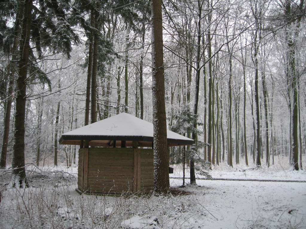 Snowy hut