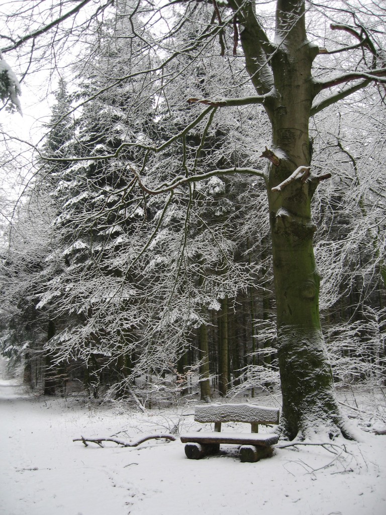 Snowy bench