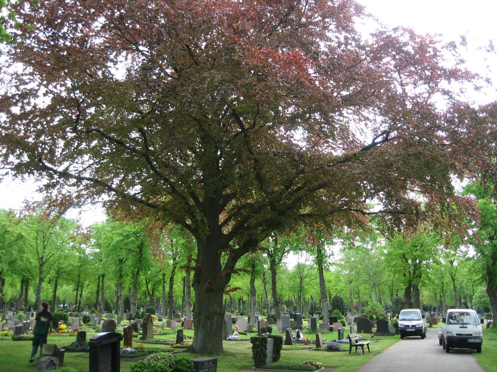 Walle cemetery