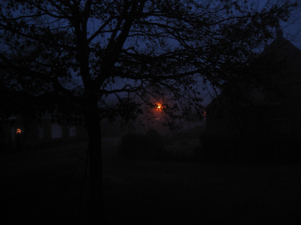 Foggy Christmas morning