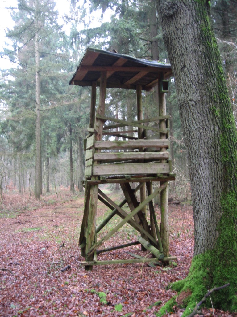Westermark lookout