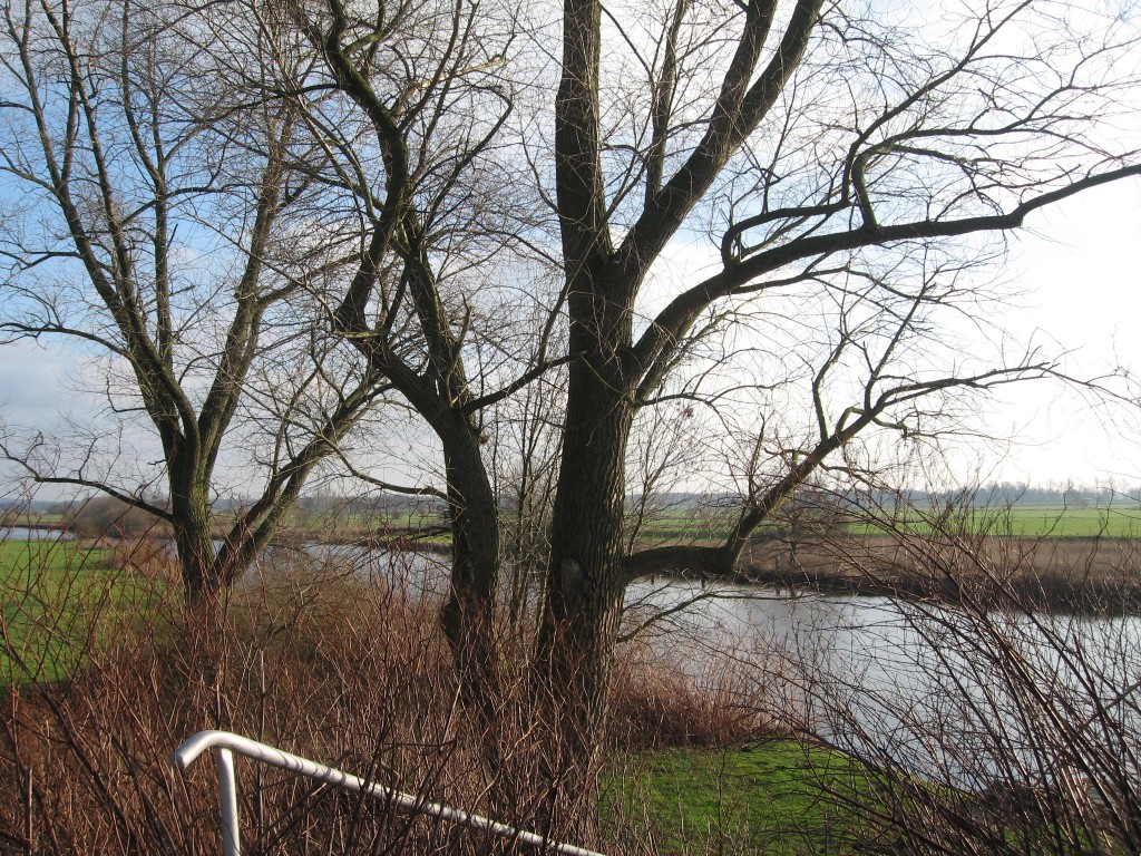 Teufelsmoor, river Hamme
