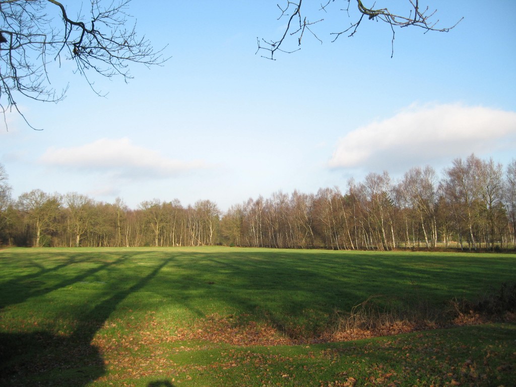 Teufelsmoor field