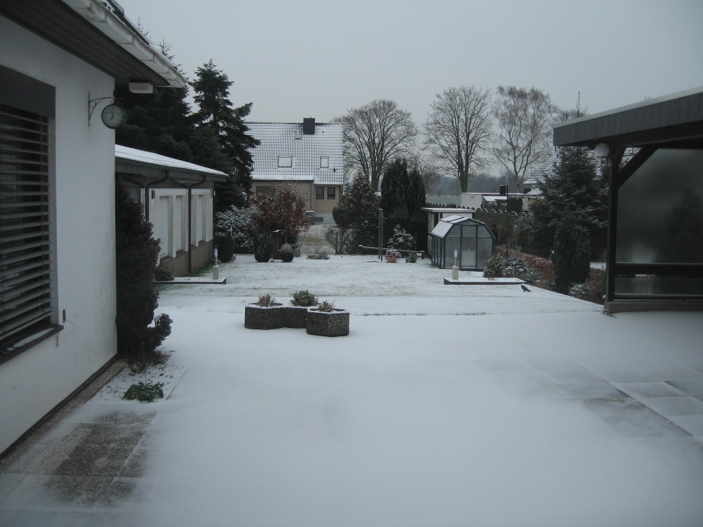 Snowy garden
