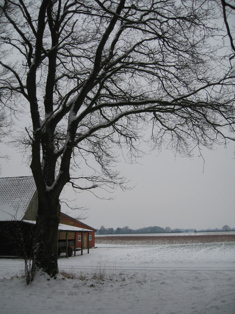 Snowy farmhouse