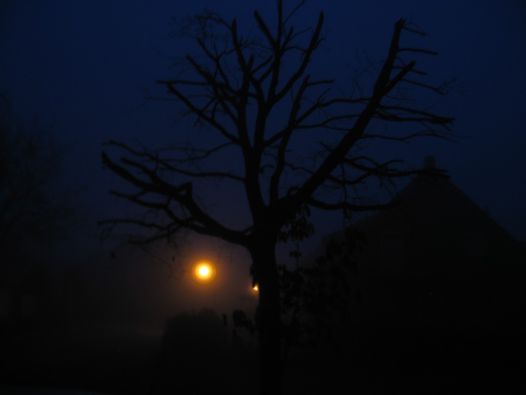 Spooky foggy view