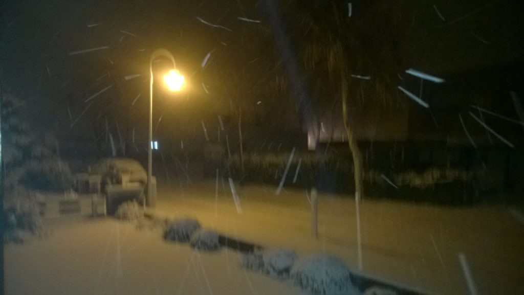 Winter storm with snow