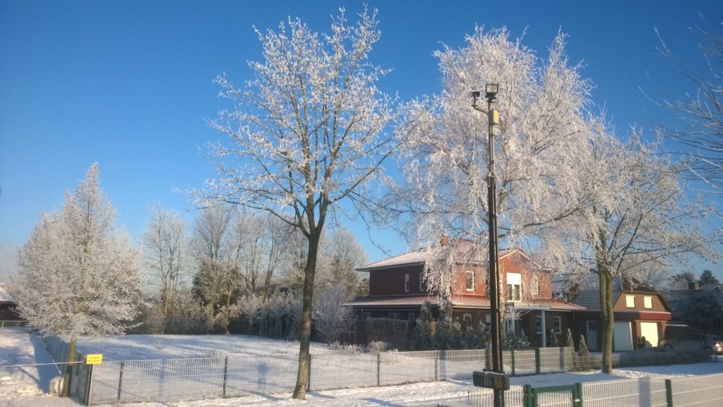 Frosted trees