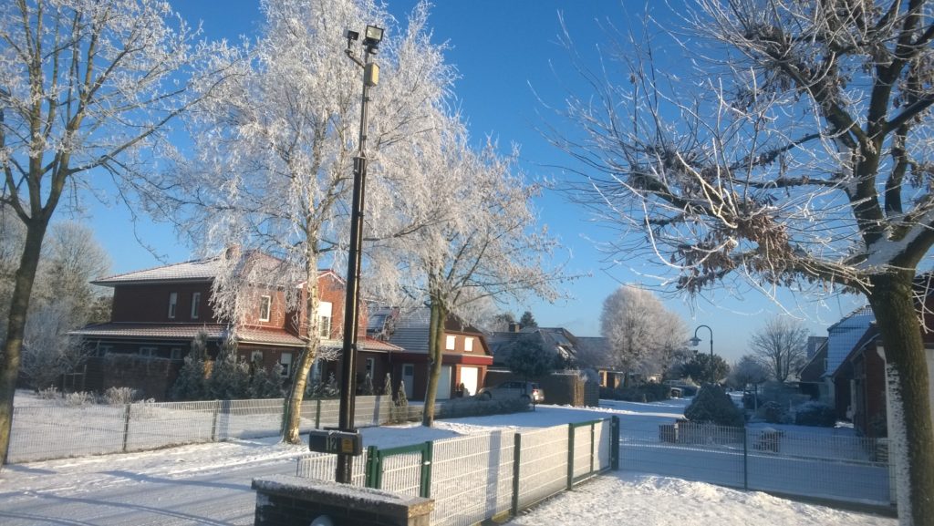 Frosted trees