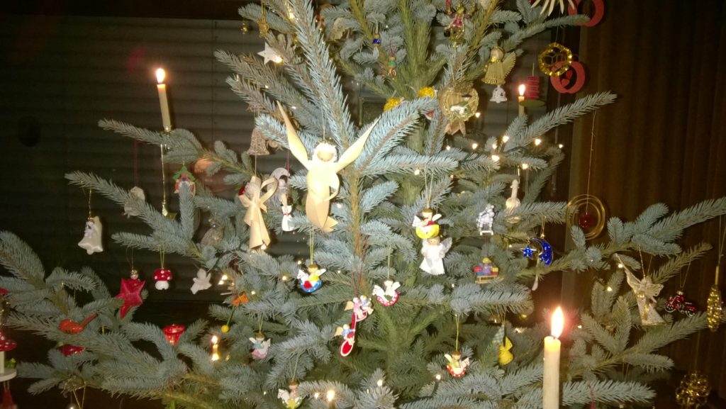 Christmas tree close-up