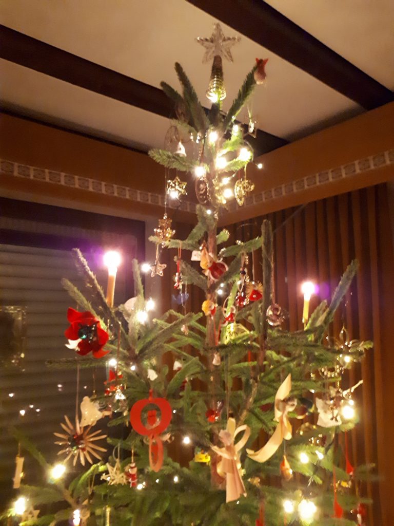 Christmas tree close-up