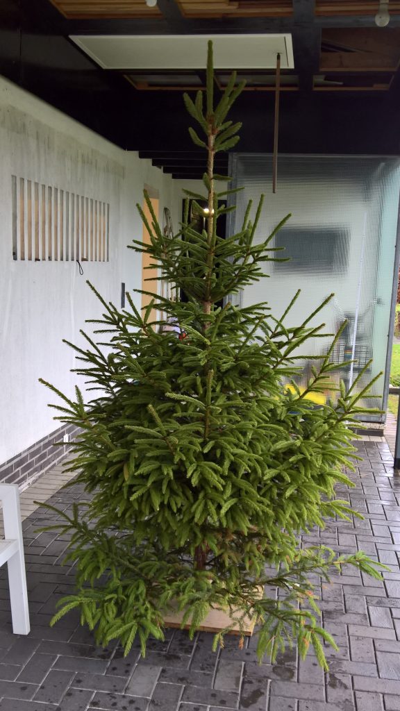 Christmas tree