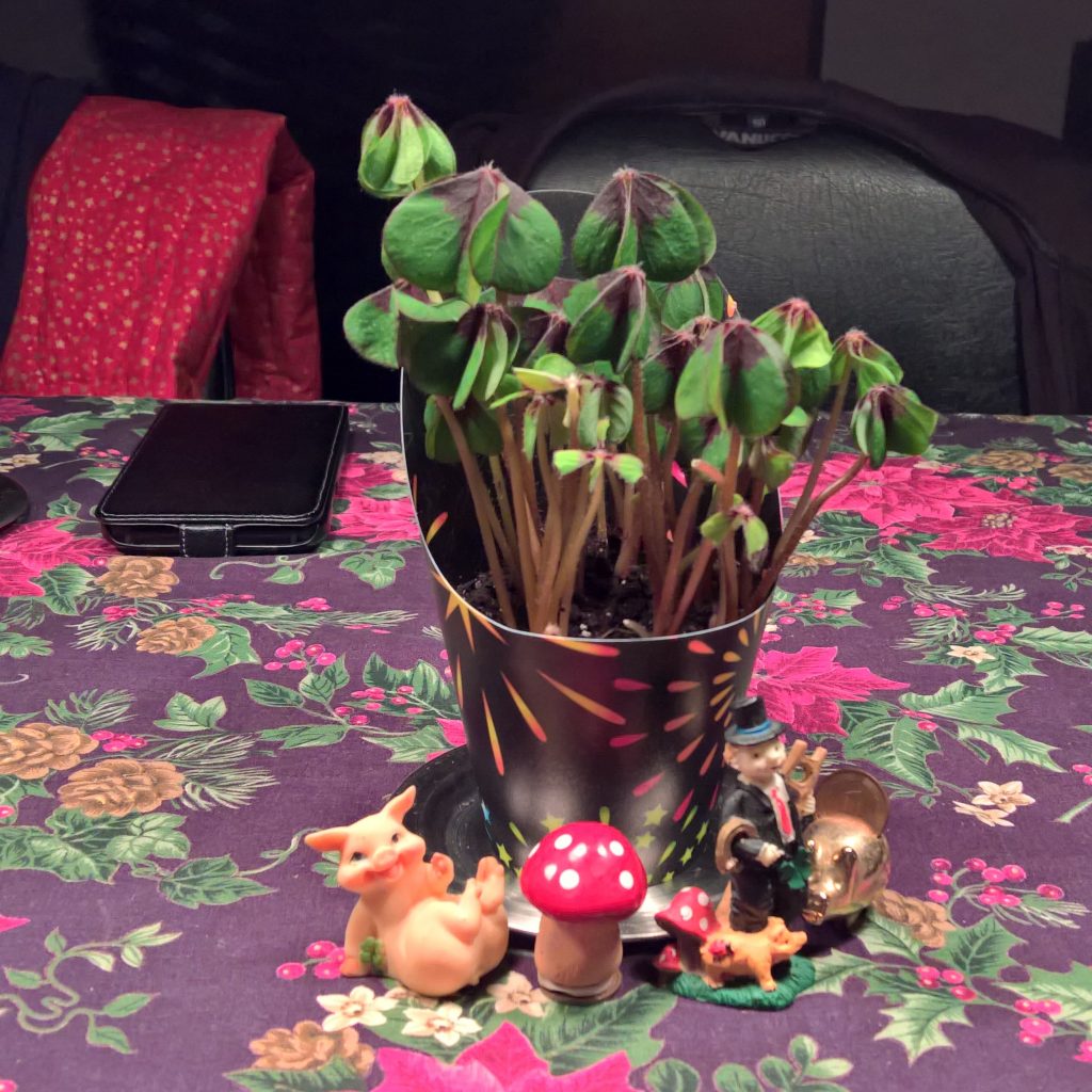 Clover and good luck charms