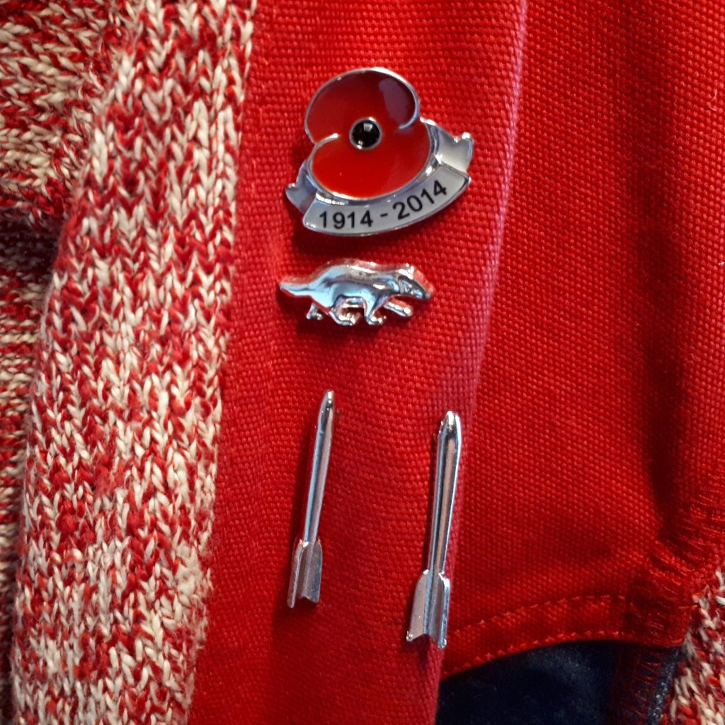 Hugo pins on jacket
