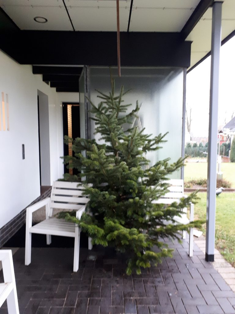 Christmas tree