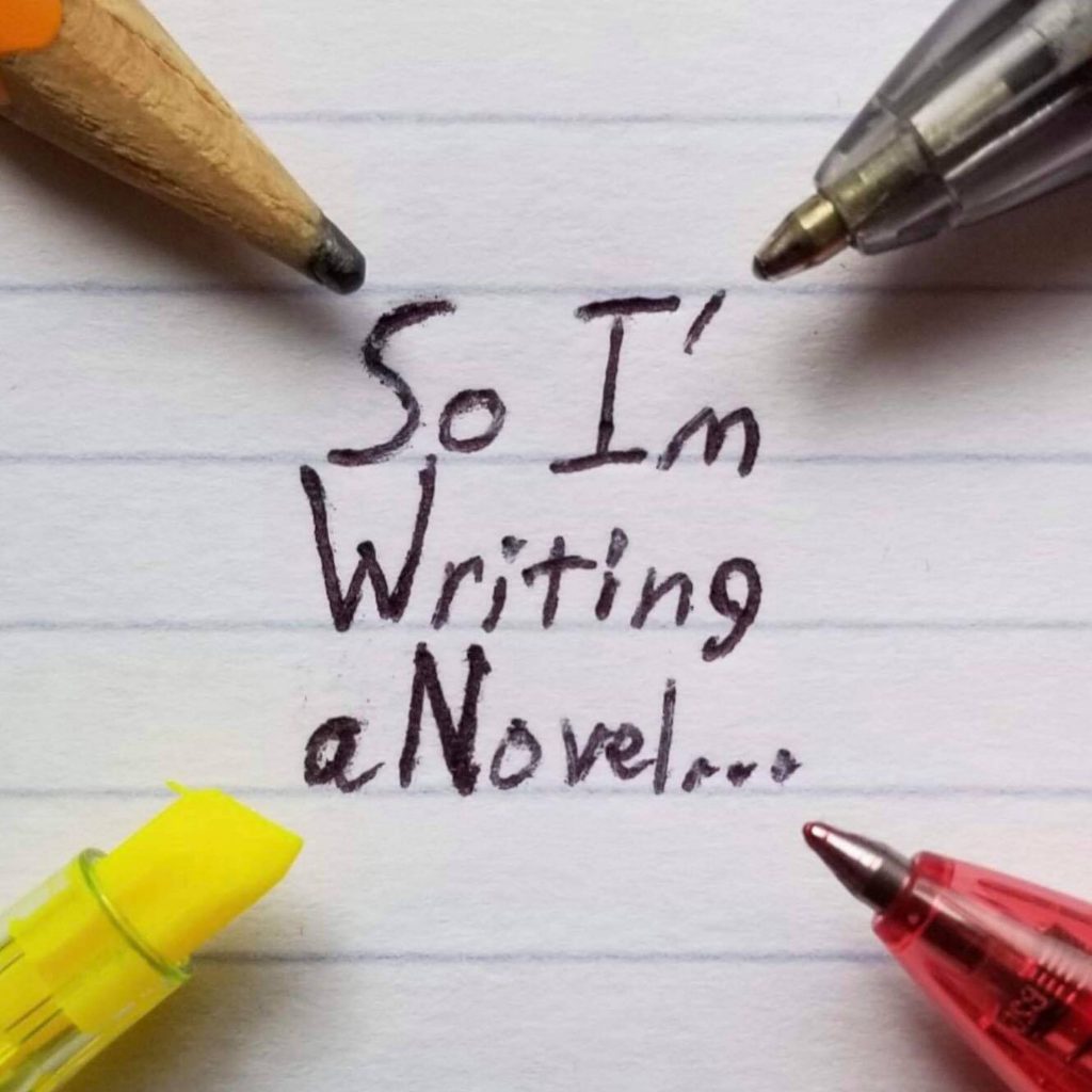 So I'm Writing a Novel logo