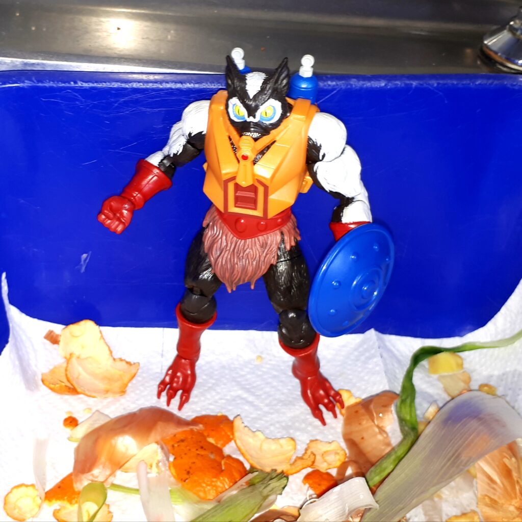 Stinkor in the trash