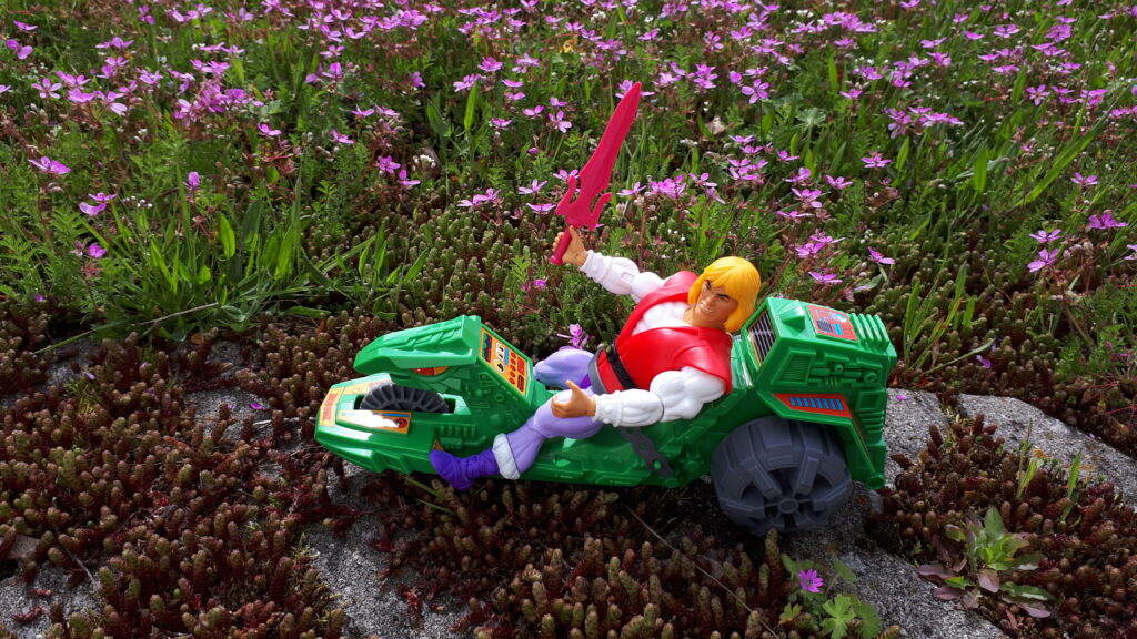 Adam rides the Road Ripper through a field of little pink flowers