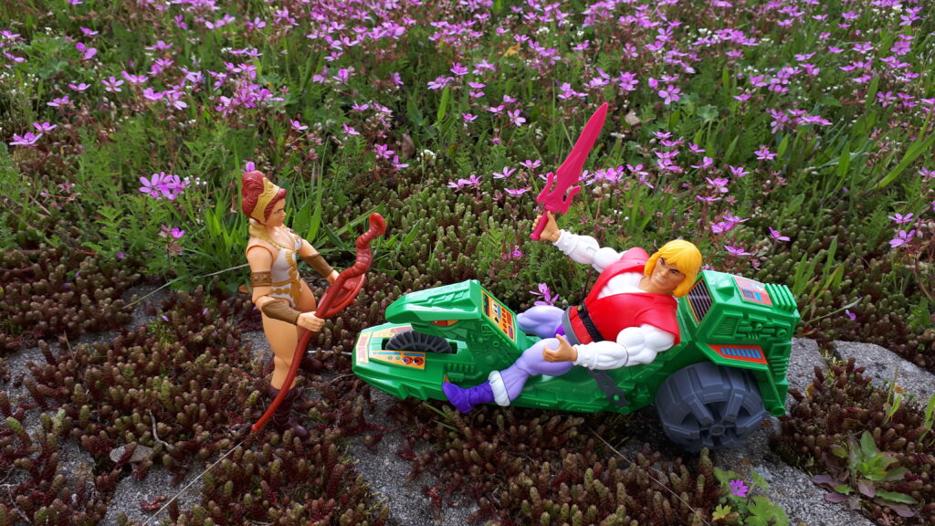 Teela blocks Adam's way.