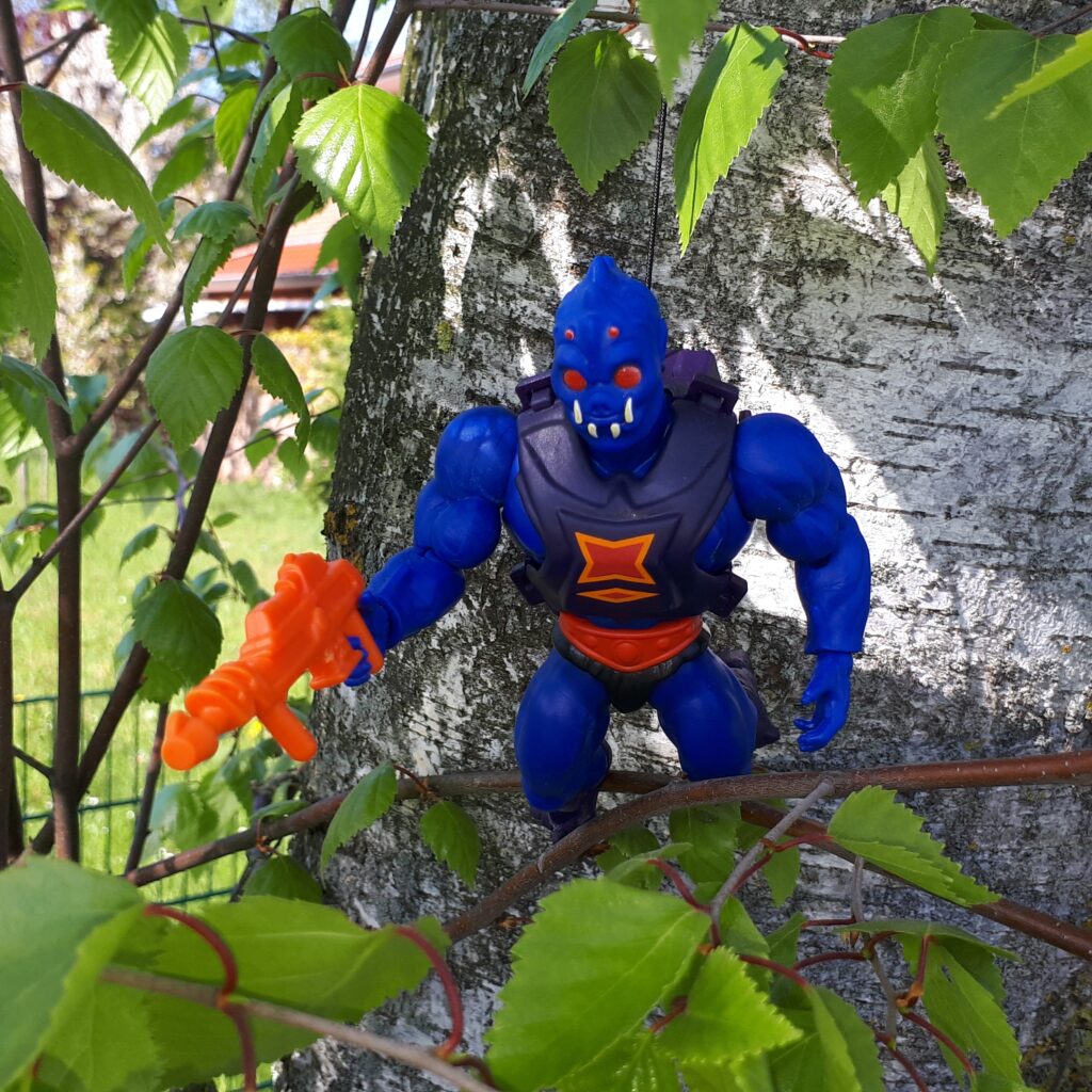 Webstor is hanging in a birch tree.