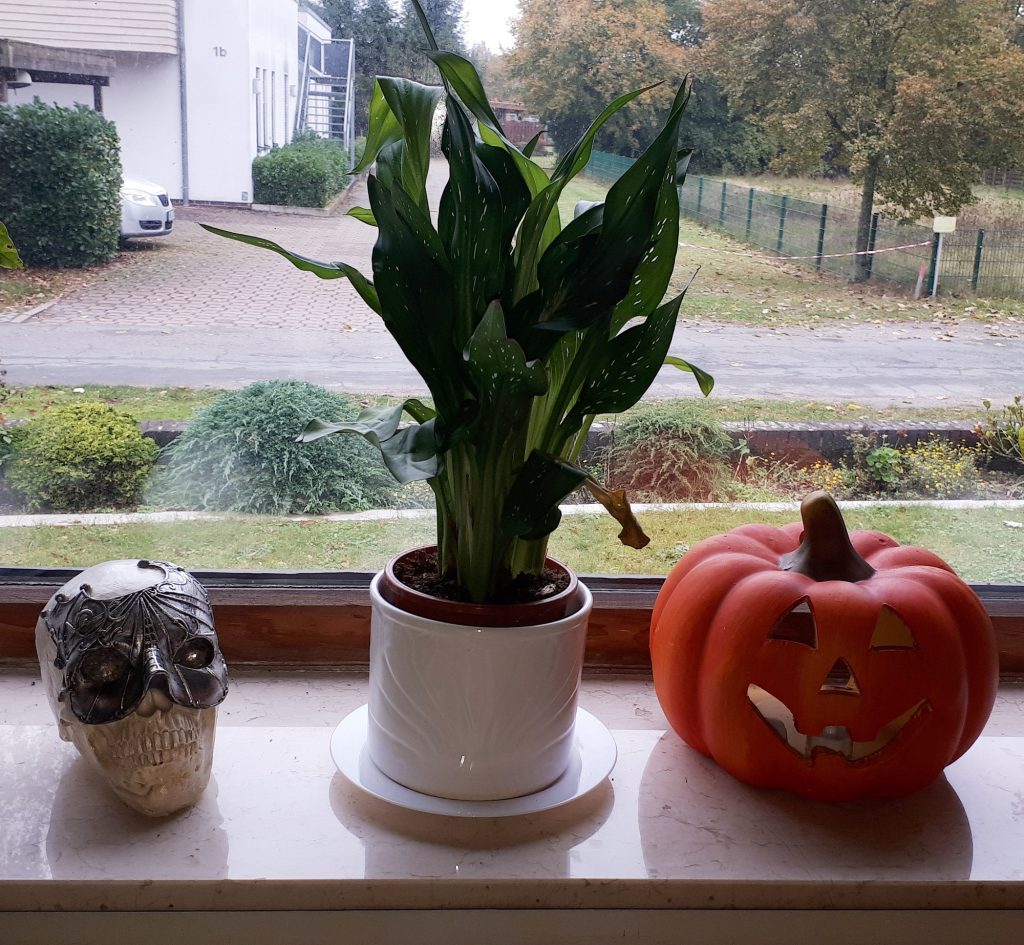 Halloween window 2023