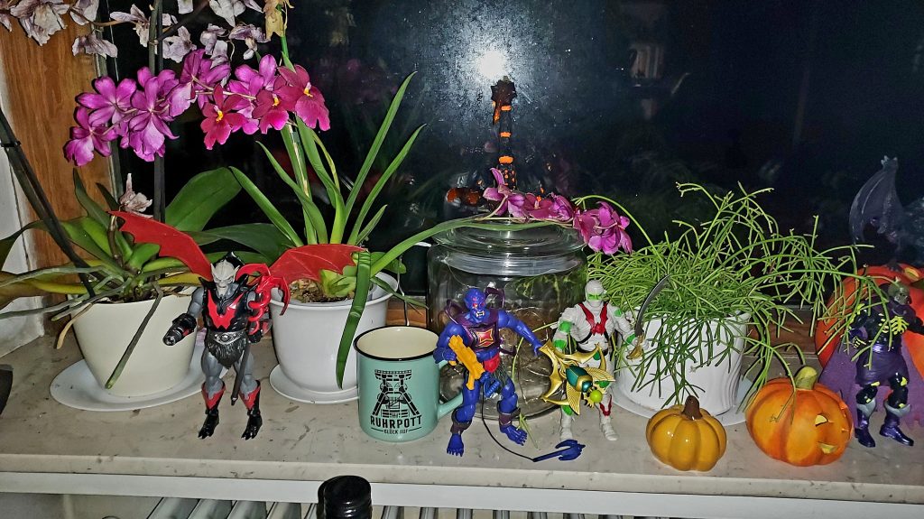 Halloween window display