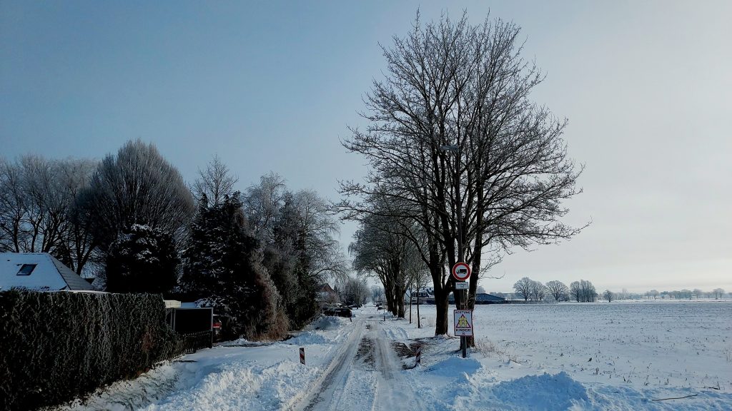 Snowy street with trees and field
