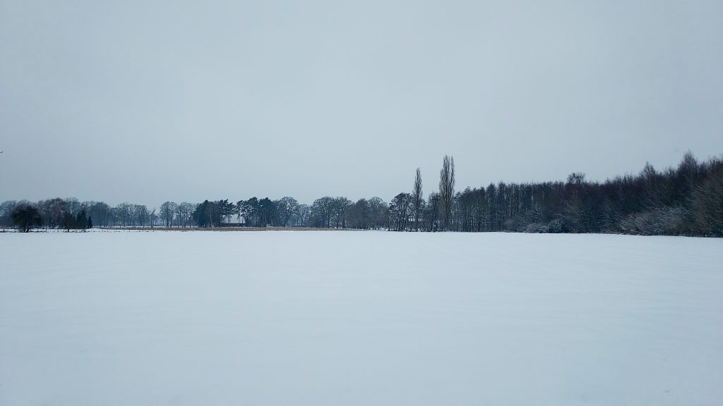 Snowy fields with distant trees