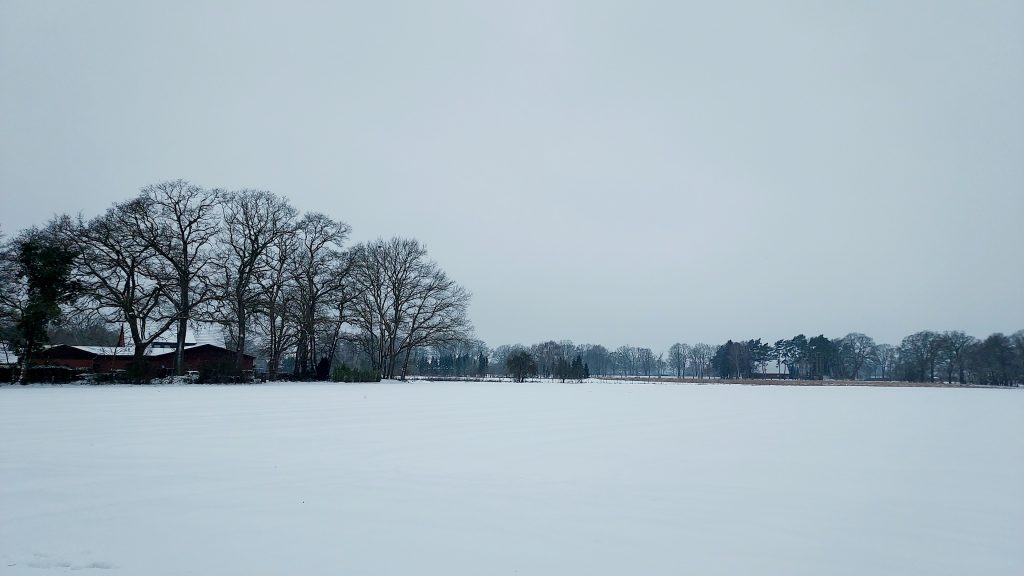 Snow-covered fields in Wulfhoop